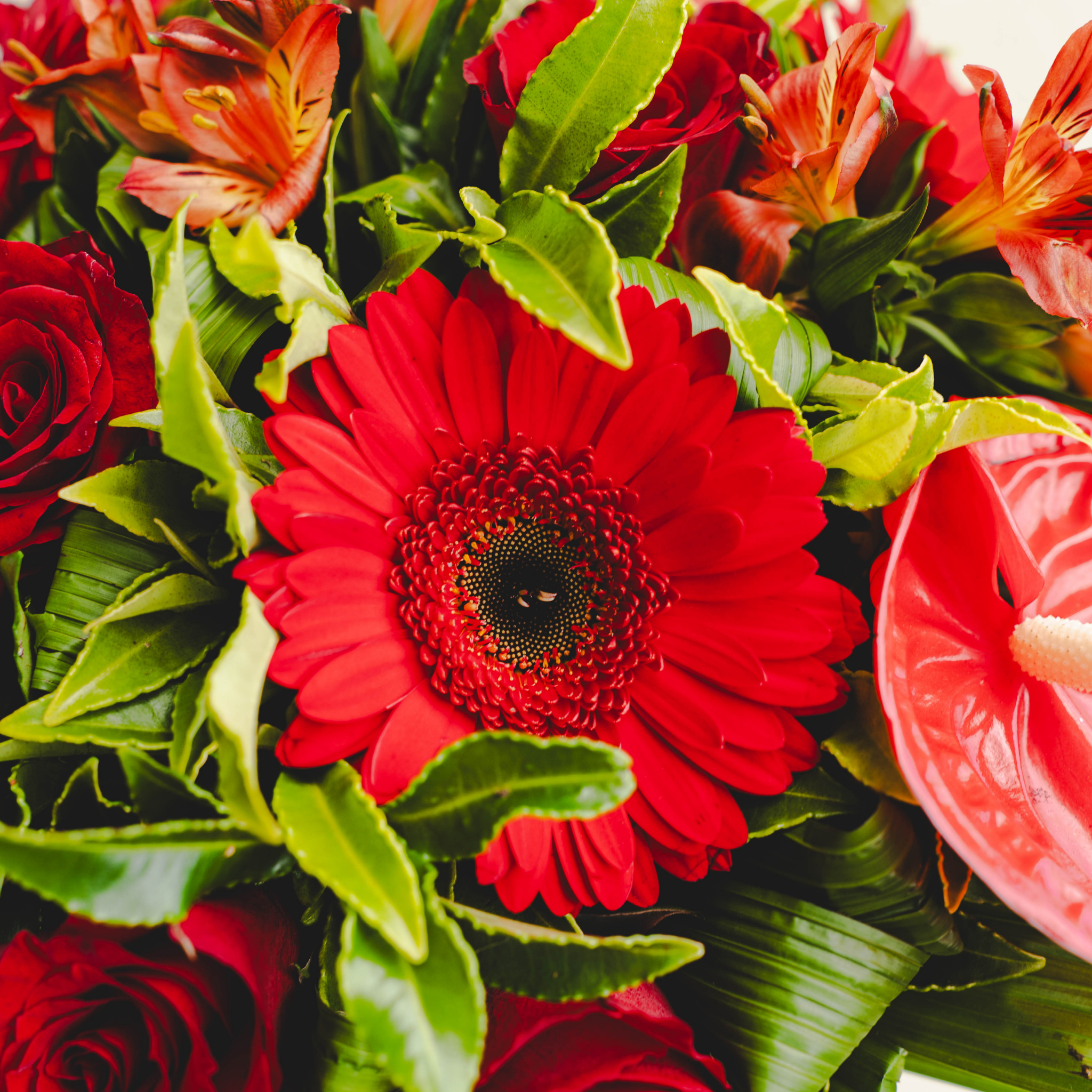 Bouquet Créatif