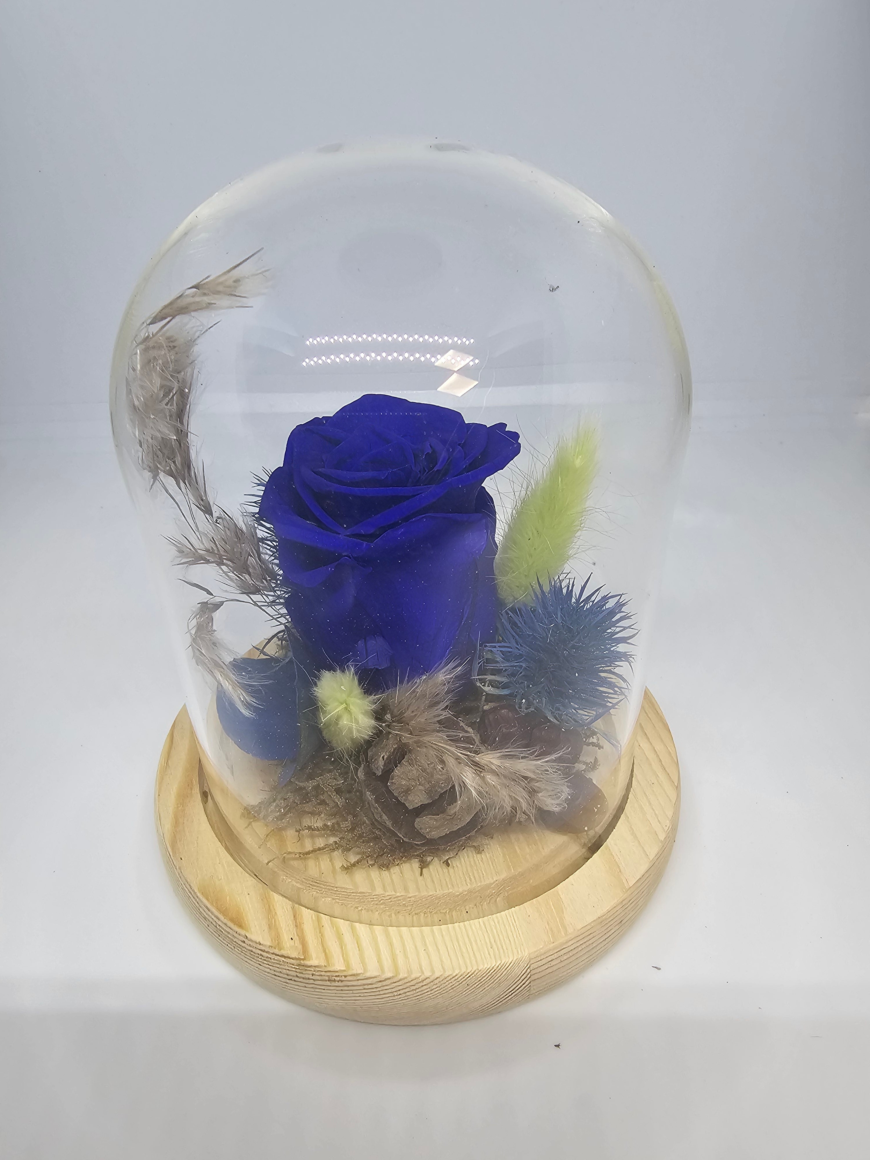 Eternel blue