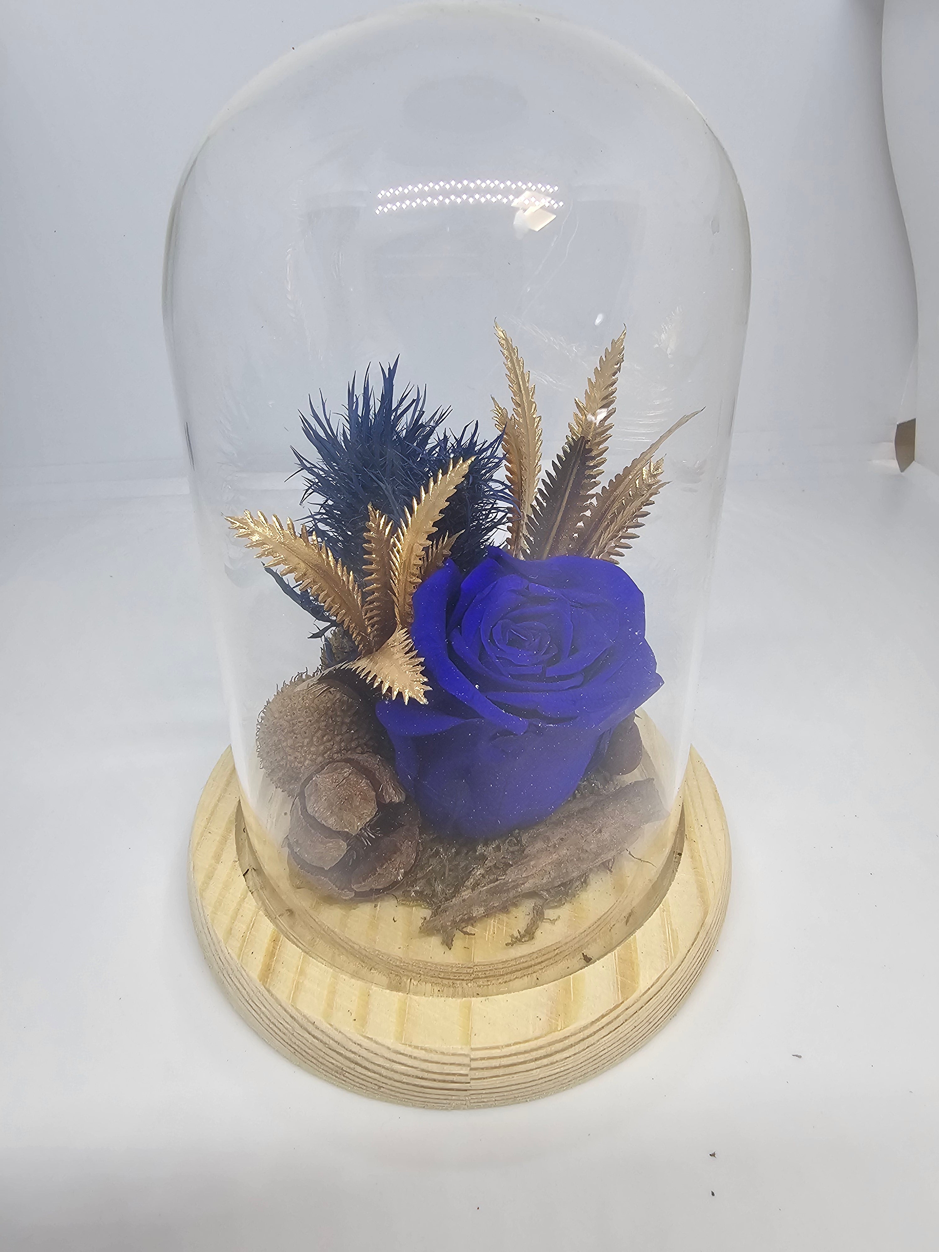 Eternel blue