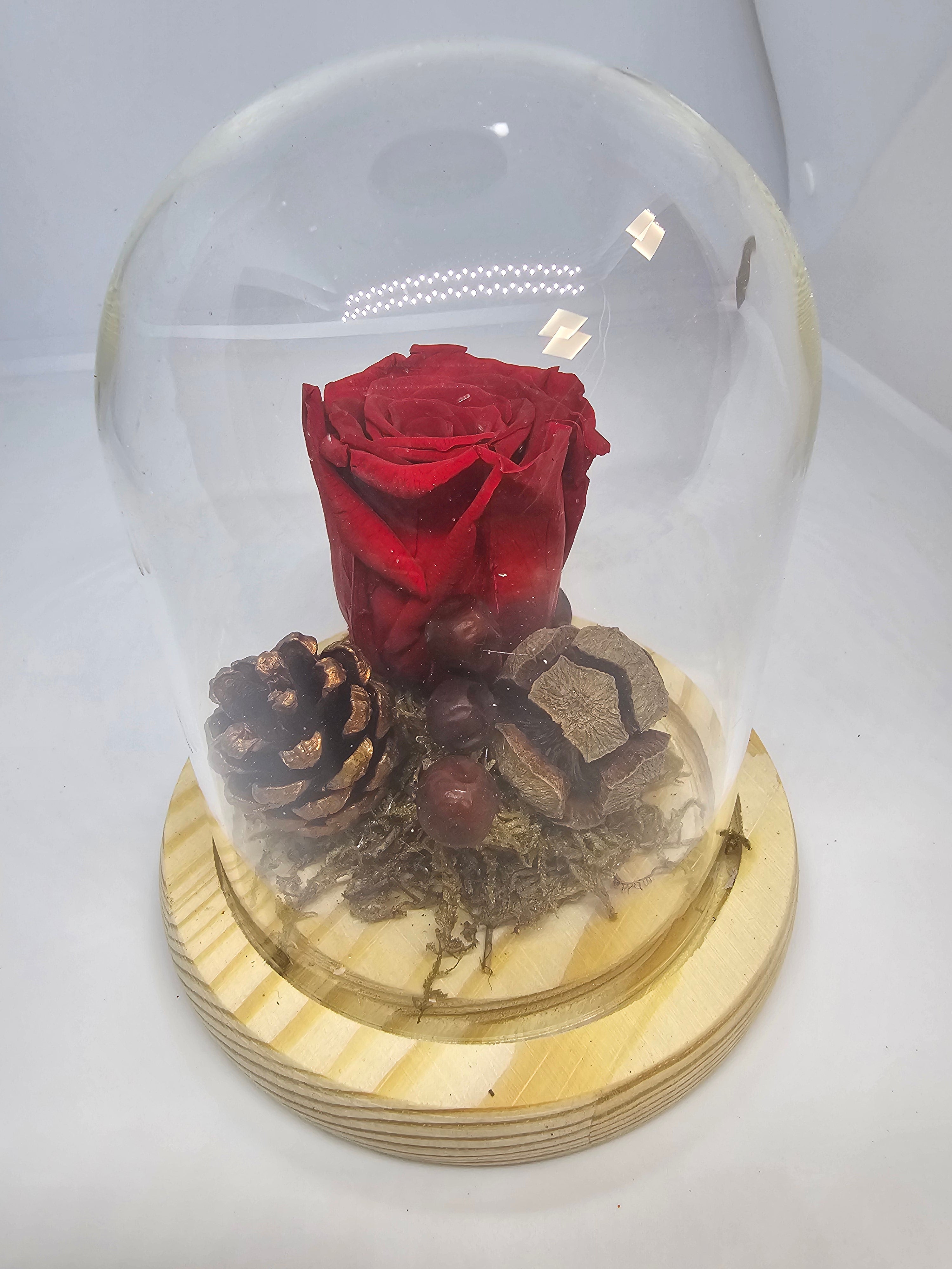Amour passionnel éternelle