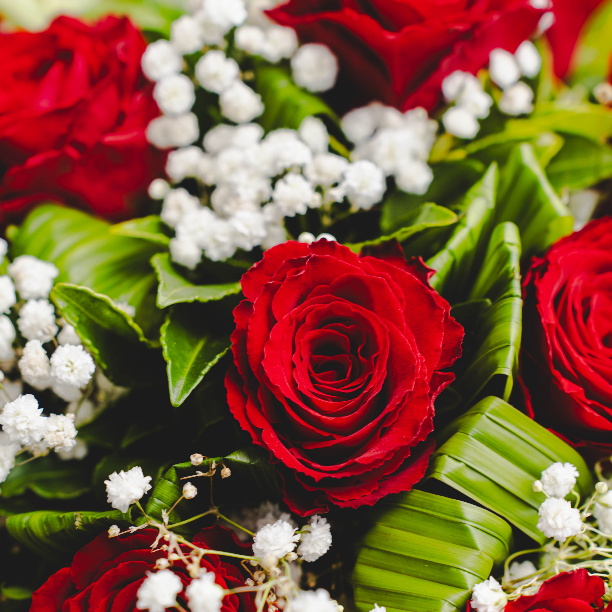 Bouquet du fleuriste rouge