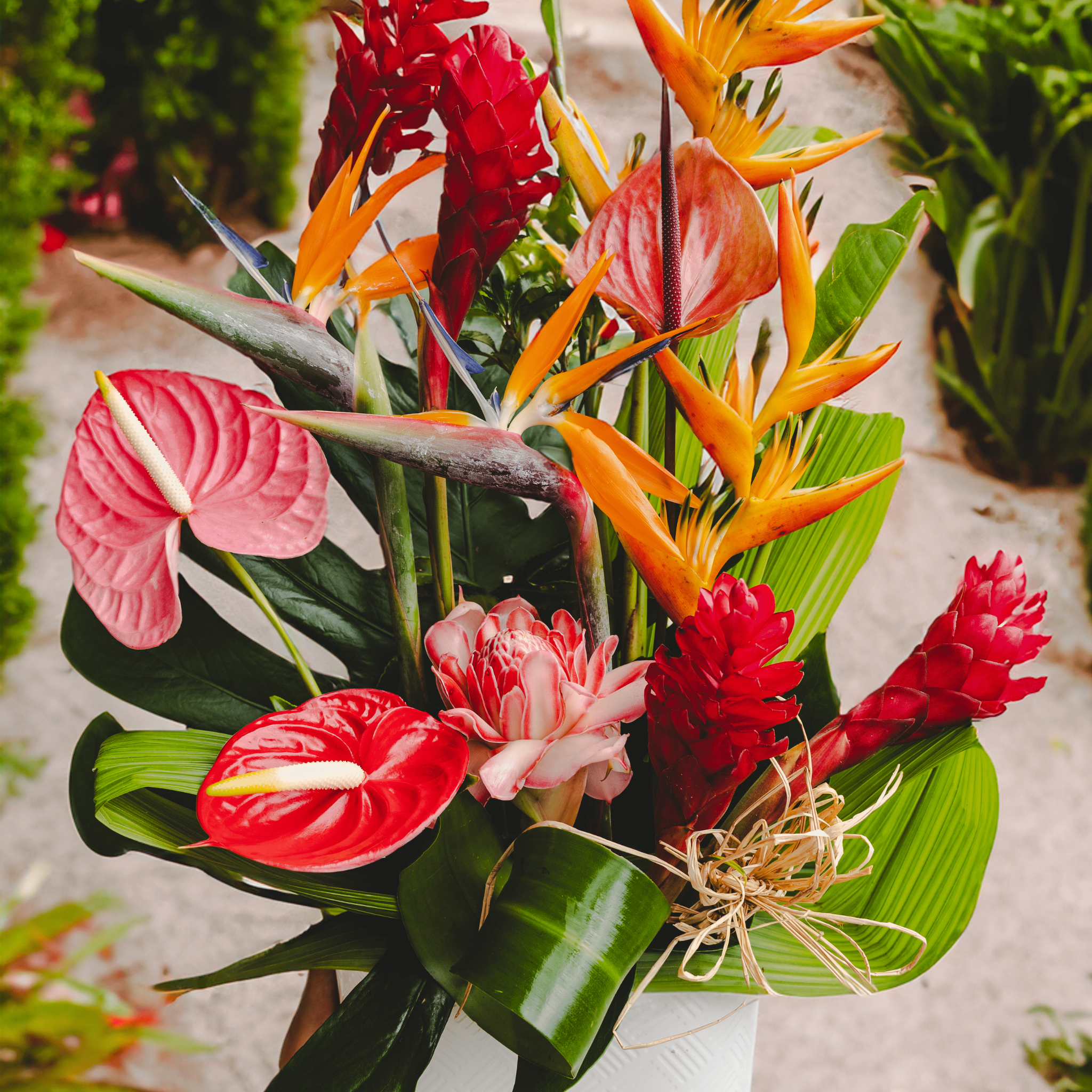 Composition florale