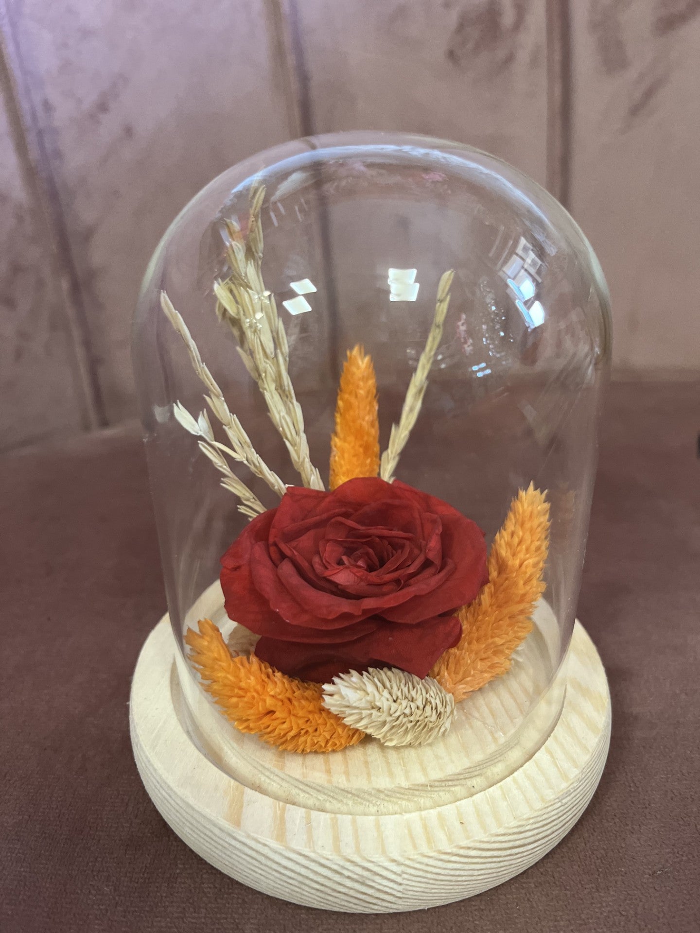 Rose éternelle  sous cloche