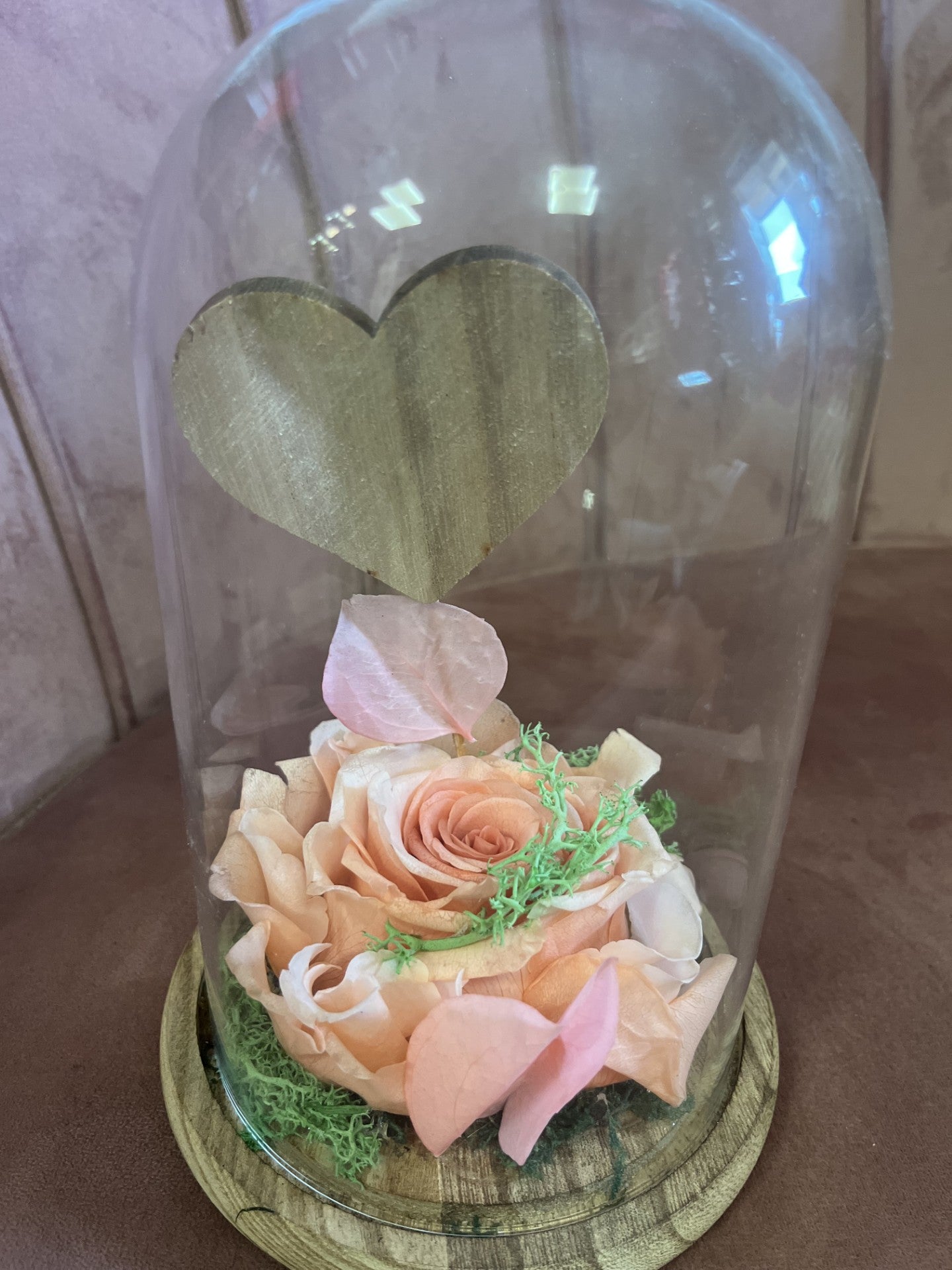 Rose éternelle  sous cloche