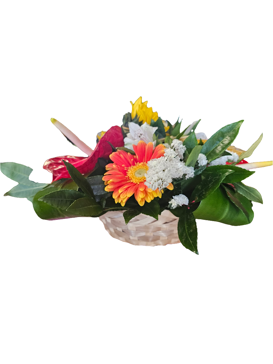 Composition curcuma
