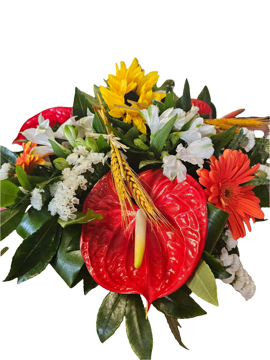 Composition curcuma